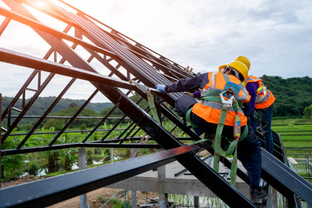 Best Roof Replacement Cost  in Coing, AL
