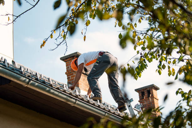 Roof Waterproofing Services in Coaling, AL