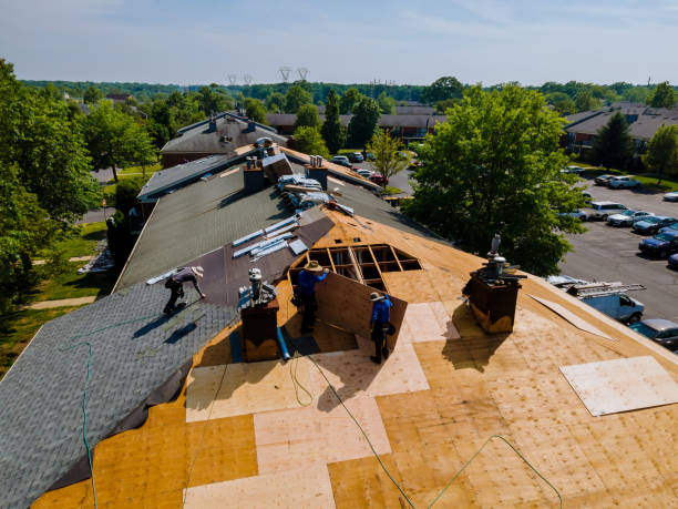 Quick and Trustworthy Emergency Roof Repair Services in Coaling, AL