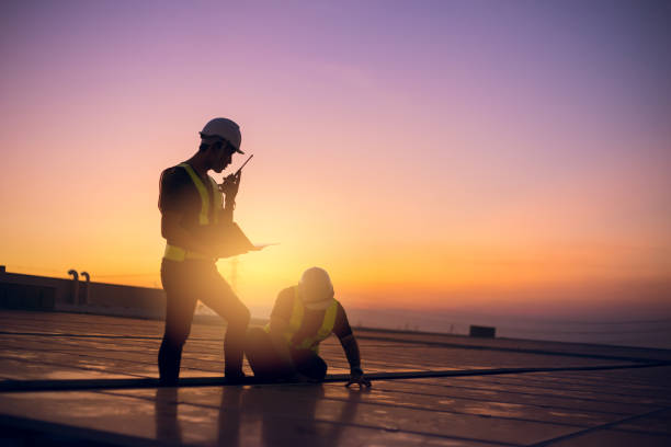 Best Roof Gutter Cleaning  in Coing, AL
