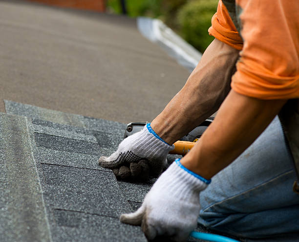 Best Storm Damage Roof Repair  in Coing, AL
